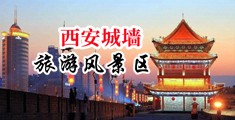 操的网站中国陕西-西安城墙旅游风景区