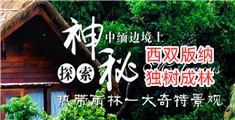 操女人逼网