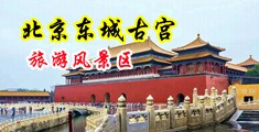 男生操女生鸡鸡视频免费观看中国北京-东城古宫旅游风景区